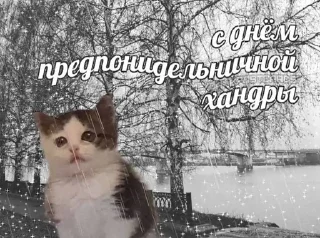 Sticker Больше стиков тут: @stikery4 - 3