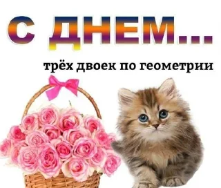 Sticker Больше стиков тут: @stikery4 - 4