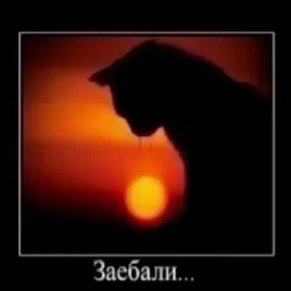 Sticker @stiki_tg_nah_canal - 6