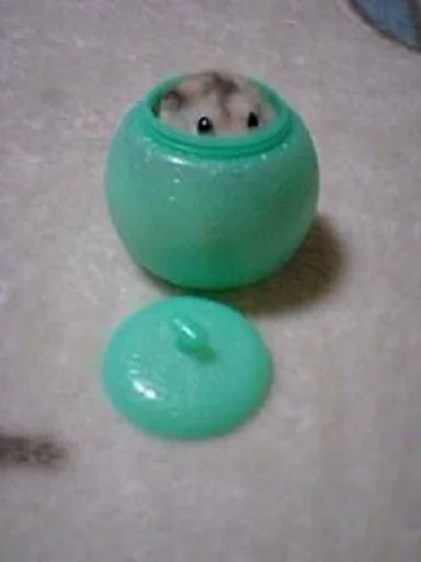 комнатный посуда шейкер