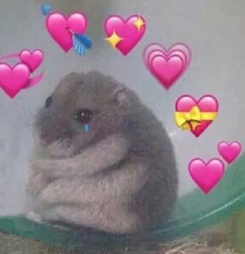 млекопитающее животное грызун