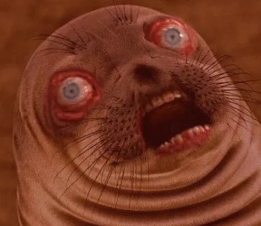 животное млекопитающее водные млекопитающие