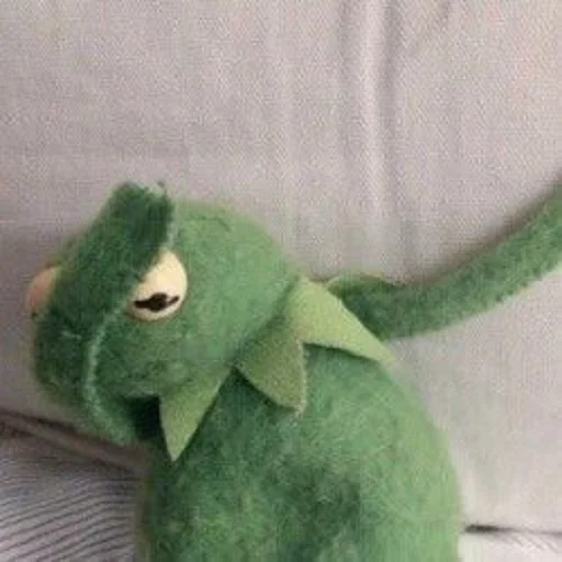 toy stuffed toy indoor