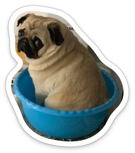 Стикер sad_pug_leonid - 8