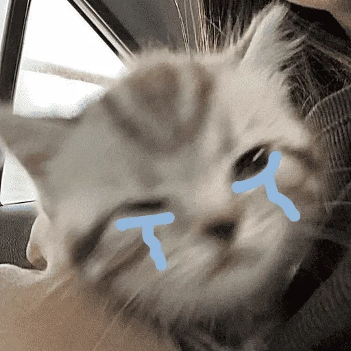 Грустные котики - 