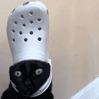 Sticker Грустные котики - 1