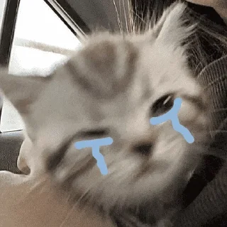 Sticker Грустные котики - 4