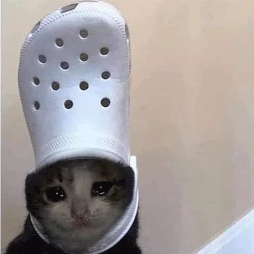 Sticker sadcatmeow - 1