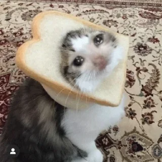 Sticker ∞︎ @stickersff ∞ - 1