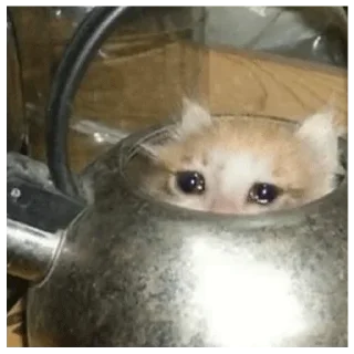 Sticker ∞︎ @stickersff ∞ - 11