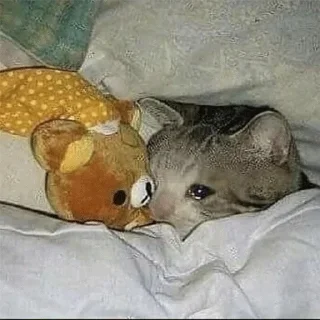 Sticker ∞︎ @stickersff ∞ - 6