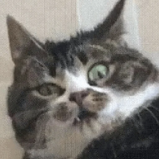 Стикер sadness_joy - 1