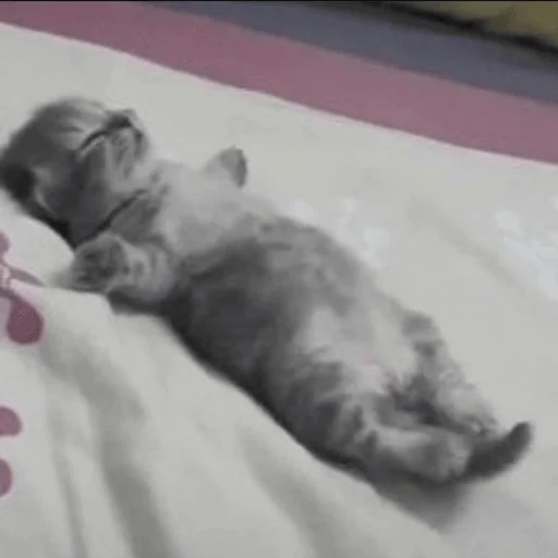 Sticker sadness_joy - 1