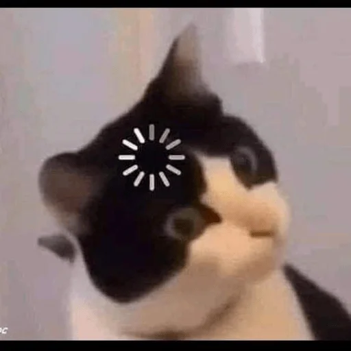 Стикер sadness_joy - 1