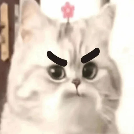 Стикер sadness_joy - 1