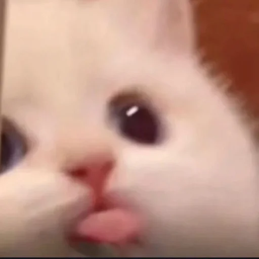 Sticker sadness_joy - 1