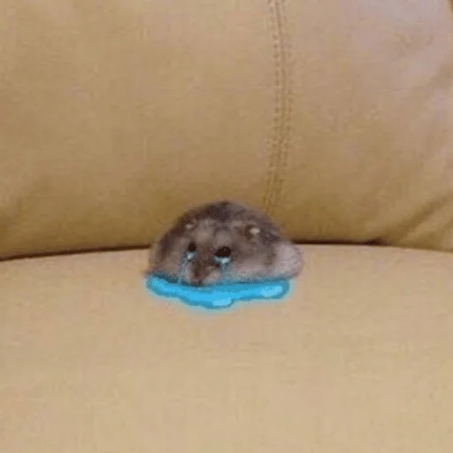 Sticker sadness_joy - 1