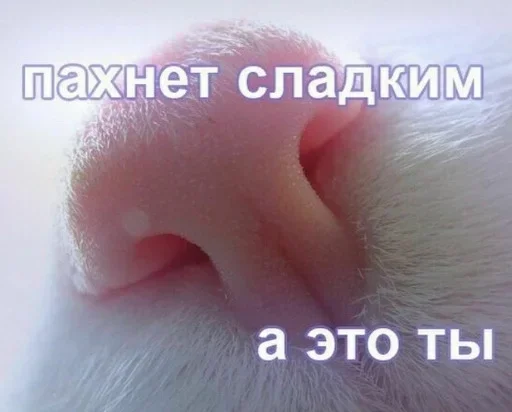 Sticker sadovnik :: @fStikBot - 5