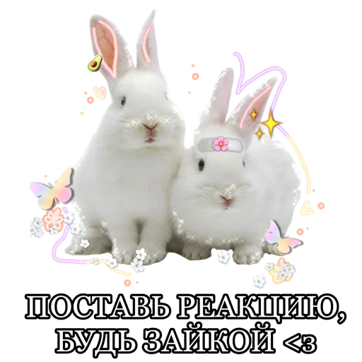 @sadness_tyan 🐰 for u channel - 