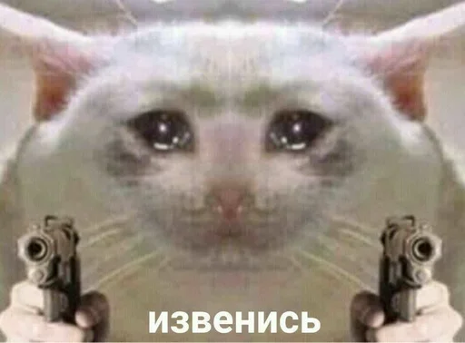 млекопитающее животное усы
