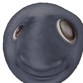 Sadykhzadeh (by @sadykhzadeh) - СМС