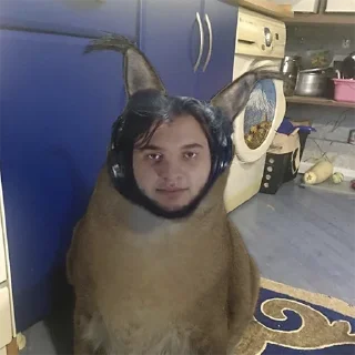 Sticker OrdoMAXstickers - 6