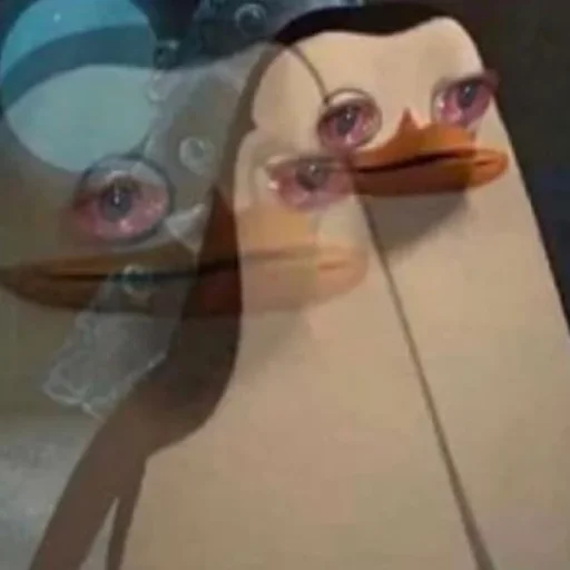 Sticker memes from sagida - 8