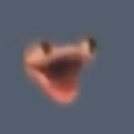 Sticker memes from sagida - 5