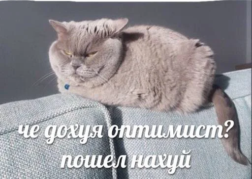 Стикер saintkrisburg - 1