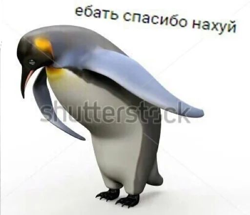 Sticker saintkrisburg - 1