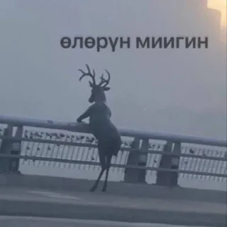 text deer outdoor