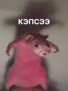 animal mammal cartoon