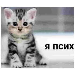 Sticker ^><^ @sakiwai - 7