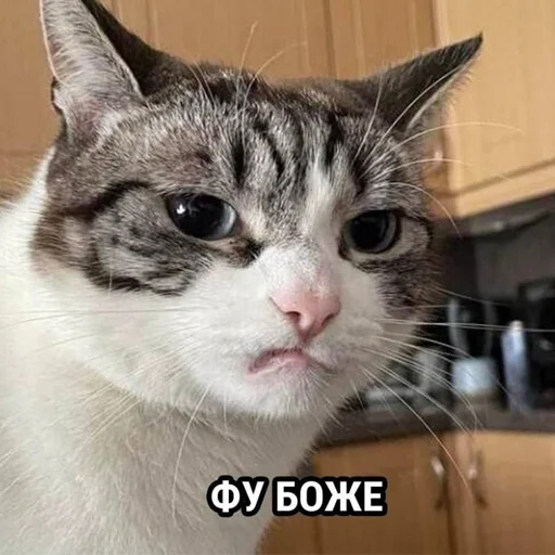 Салатник vol.1 - 