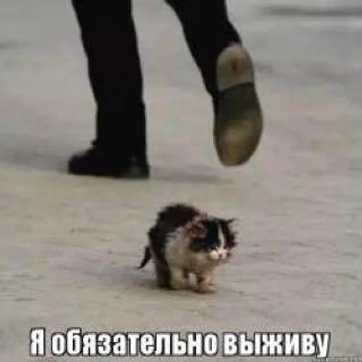 СМС земля обувь