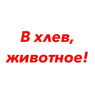 Sticker SALO YRONILI ® - 11