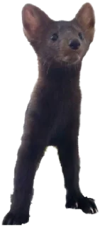 Стикер Algon - 3