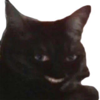 Стикер mine little private pack (@frogform) - 4