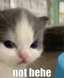 Стикер mine little private pack (@frogform) - 8