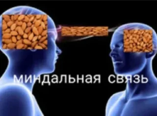 Sticker солянка - 1