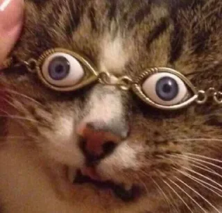 Sticker солянка - 7