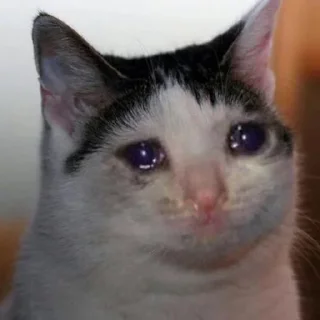 Sticker солянка - 11