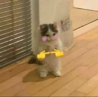 Sticker солянка - 5