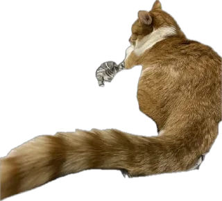 Стикер котопесник - 4