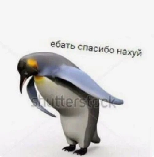 Sticker Zhureks :: @fStikBot - 6