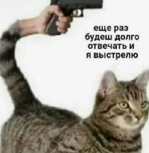 Zhureks :: @fStikBot - 