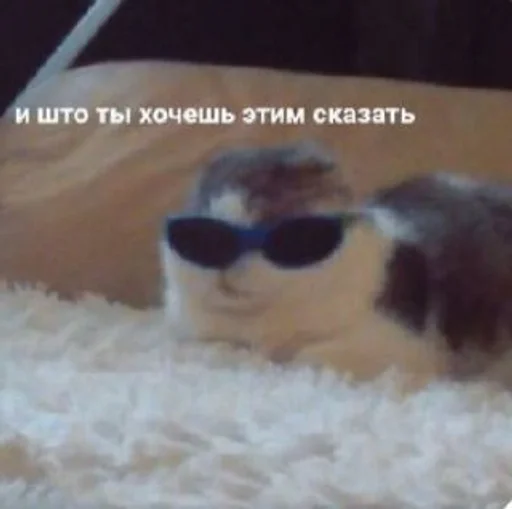 Sticker Zhureks :: @fStikBot - 3