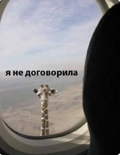 Sticker Zhureks :: @fStikBot - 0