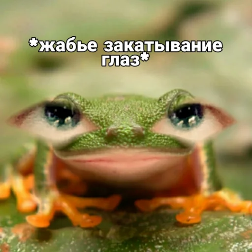 Сань Лан для алкашей - animal