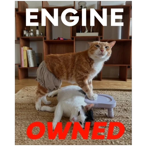 Sticker sansanmaoer - 1